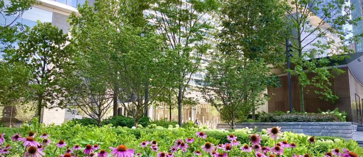 Public Square & Gardens