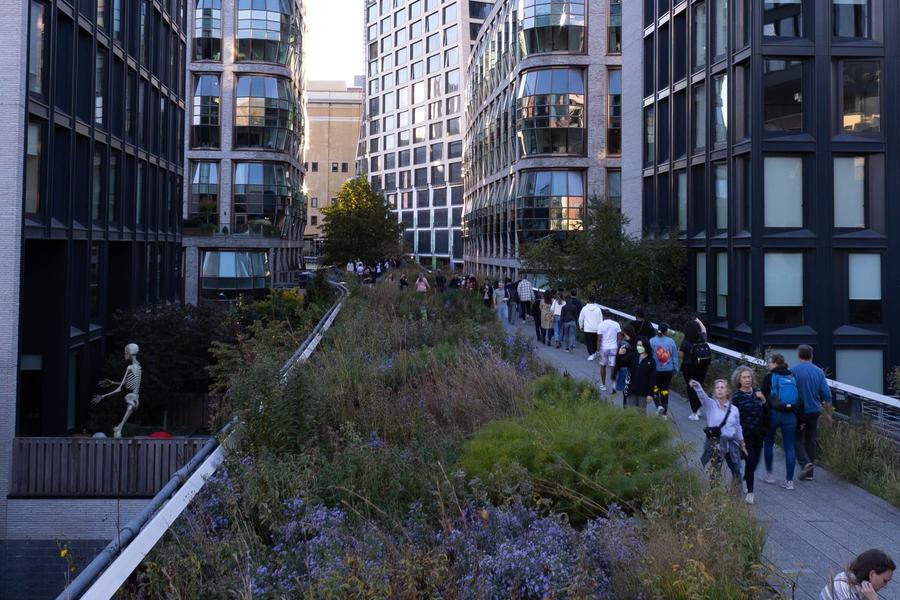 fall at high line