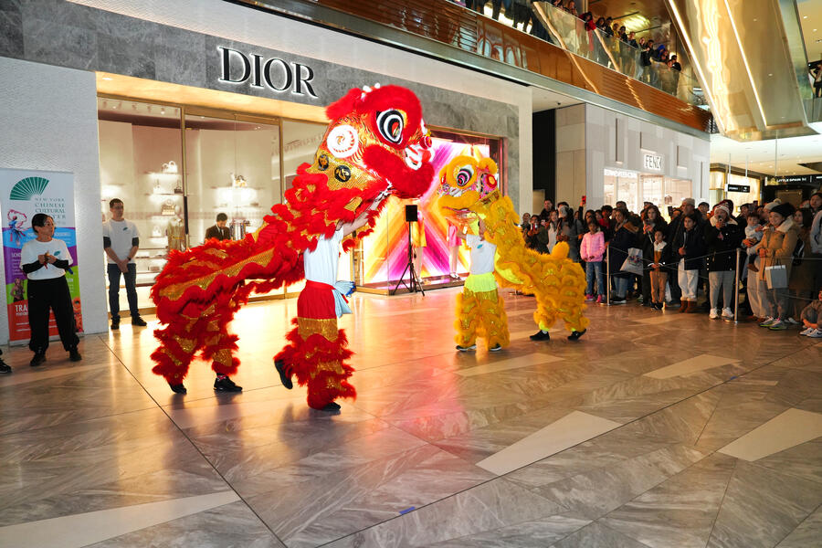 lion dance at Hudson yards