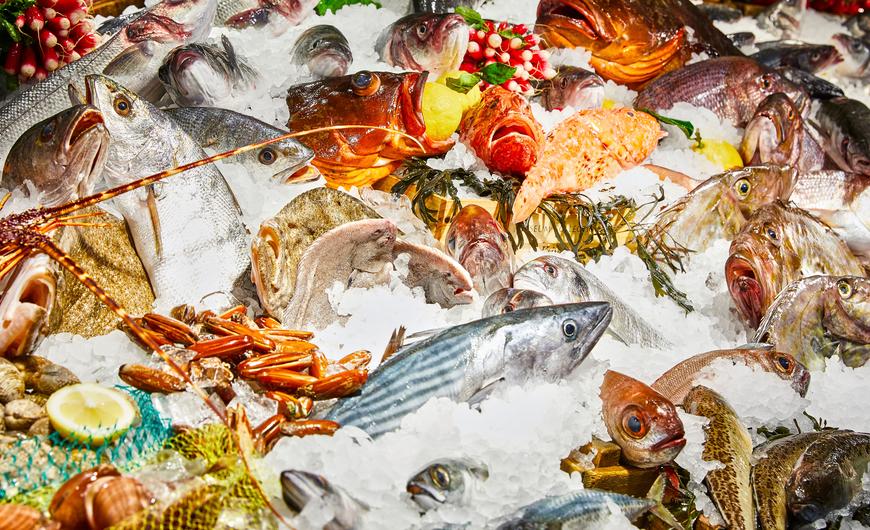fish market 