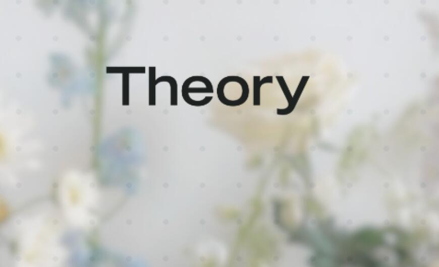 theory