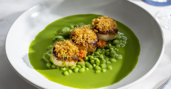 scallops