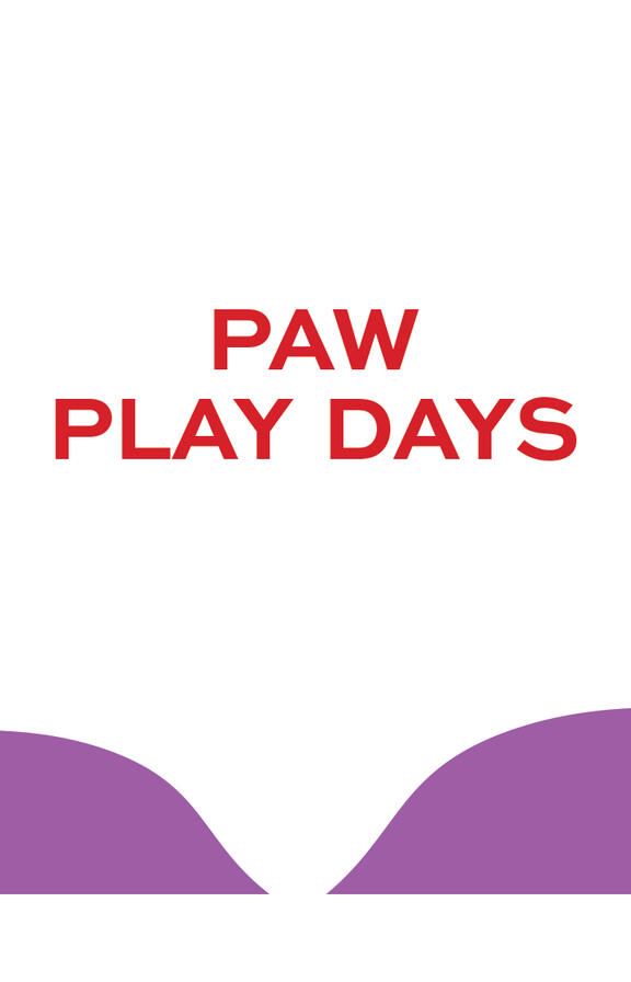 Paw Play Days
