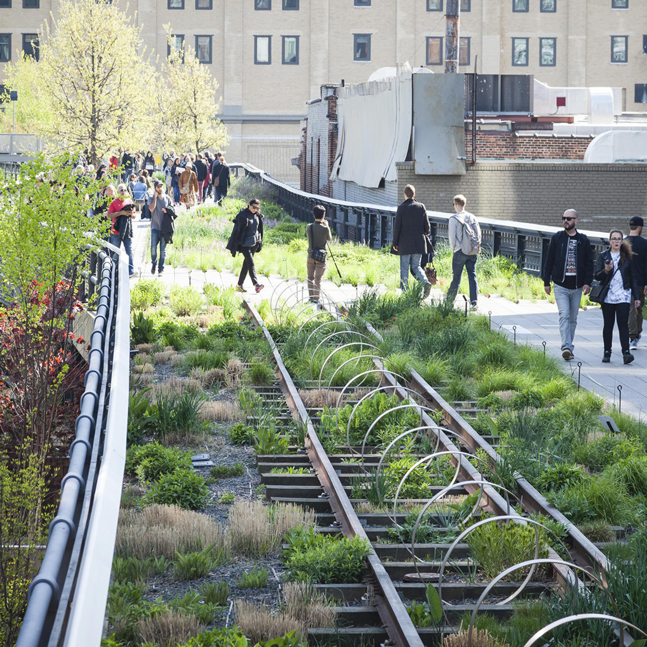 The High Line