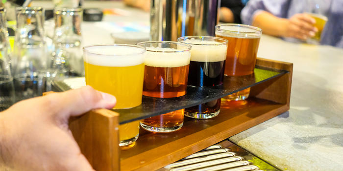 bronx brewery