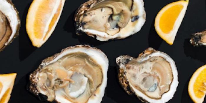 oysters