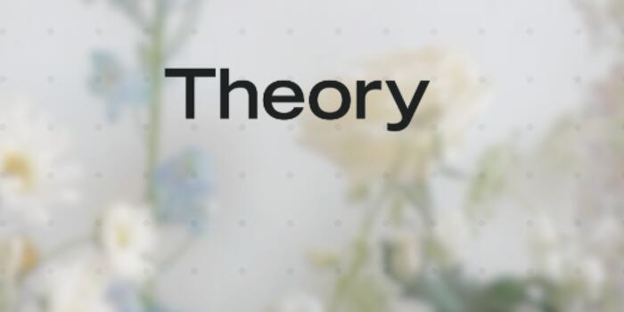 theory