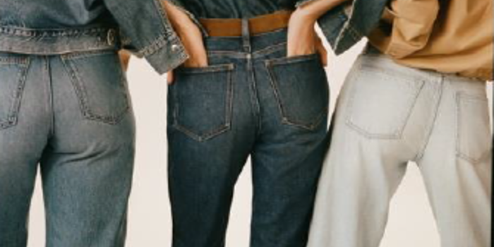 madewell denim