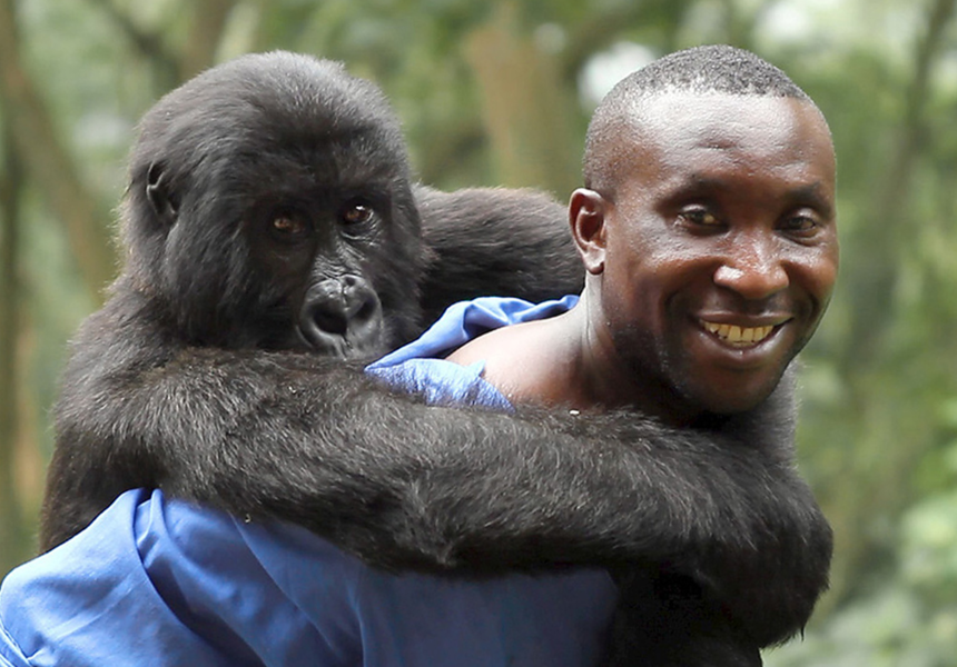 virunga