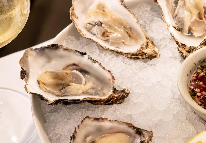 oysters